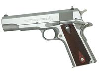 Colt Government .45ACP 5" Stainless Pistol