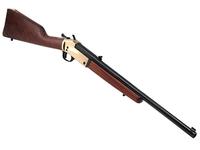 Henry Single Shot Brass .45-70 Govt 22" Rifle