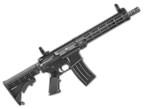 FN FN15 SRP G2 11.5" 5.56 w/ BUIS SBR - LE ONLY