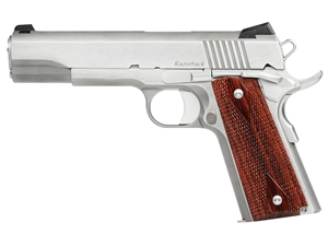Dan Wesson RZ-10 Razorback 10mm 5" Stainless Pistol
